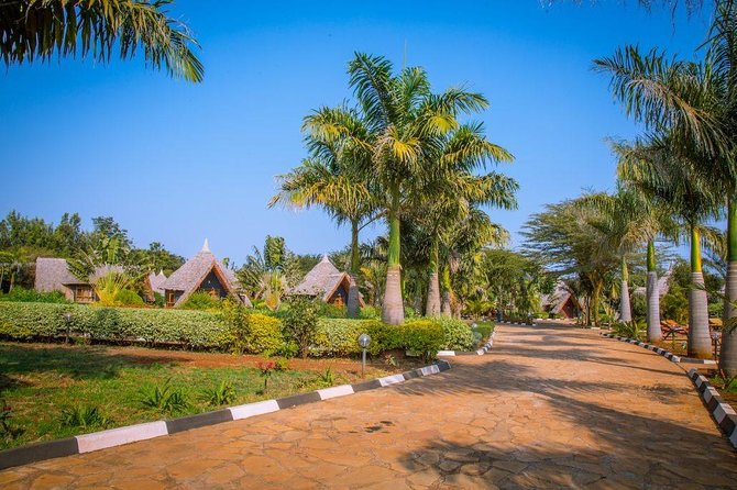 3 Days Tanzania Classic Adventure - Meeting and Pickup Information