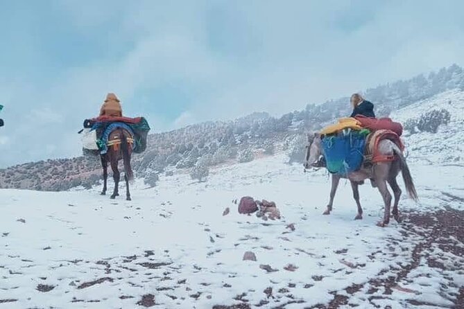 3 Days Trekking in the Berber Village - What To Bring