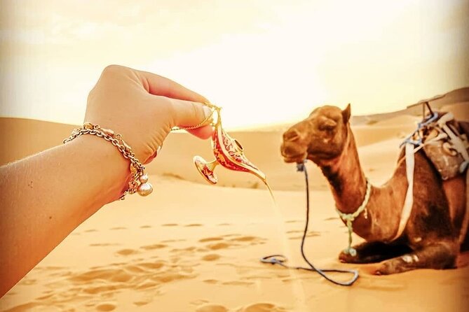 3 Days Trip From Marrakech to Fes - Activities & Sightseeing