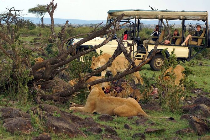 3 Days Tsavo East National Park and Taita Hills Sanctuary on Jeep - Accommodations and Meals