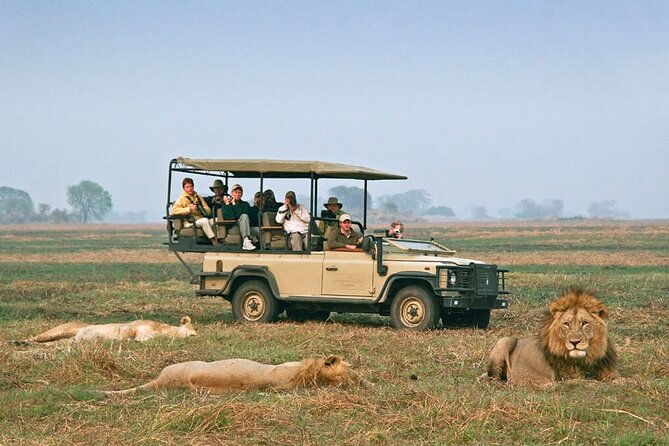 3 Days Uganda Gorilla Tour-Bwindi Impenetrable Forest - Meals Included