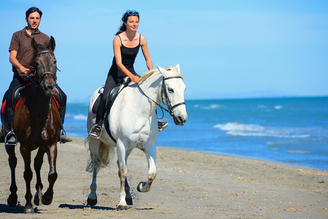 3 Hours Horse Riding, Beach and Sand - Hurghada - Pricing Information