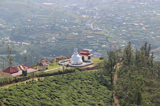3 Hours Private Walking Tour in Nuwara Eliya With Pickup - The Sum Up