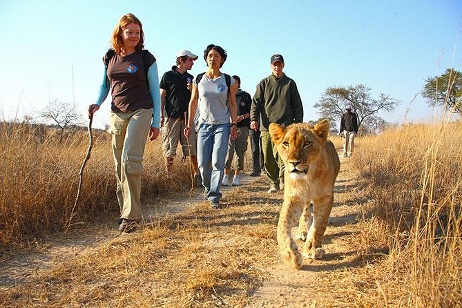 3 Nights | 4 Days Explorers Village Dome Tents Package - Optional Activities
