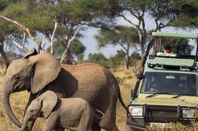 3Day Amboseli National Park Budget Safari on 4x4 Landcruiser Jeep - Pricing Information