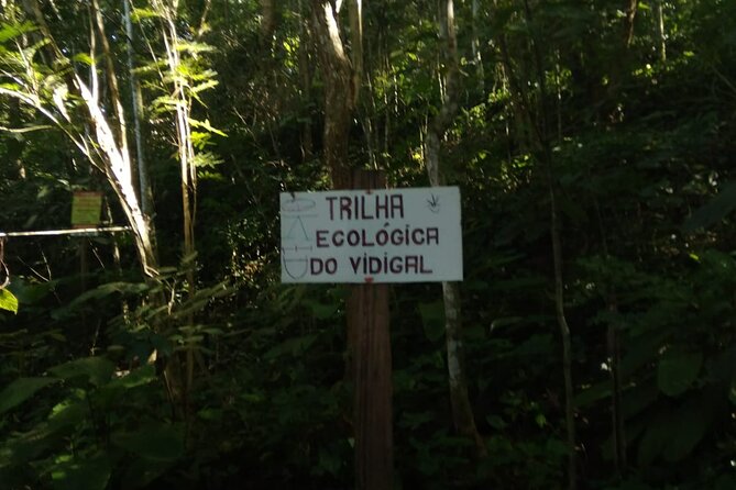 3H Private Trekking in Dois Irmãos Overlooking the Rio De Janeiro - The Sum Up