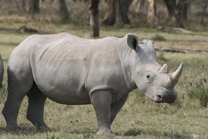 4-Day Discover Maasai Mara and Lake Nakuru Safari on 4x4 Jeep - Important Information