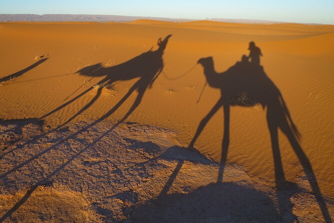 4 Day Fes Trip to Merzouga Tour - Cancellation Policy