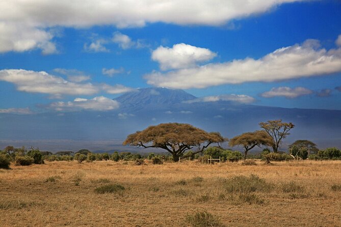 4-Day Kenya Masai Mara Safari From Nairobi - Safari Vehicle and Guide