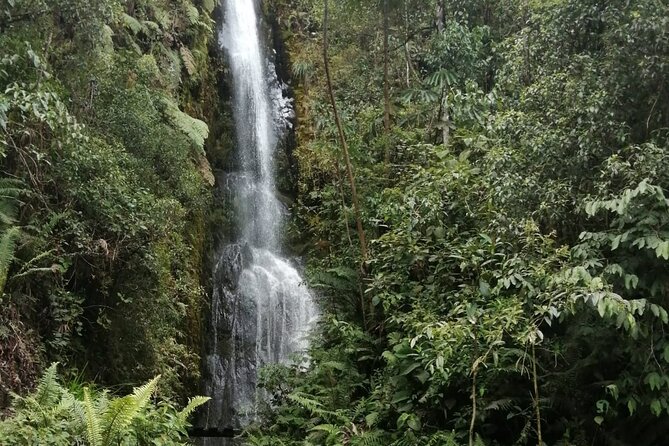 4-Day Manu Jungle Tour With Adventure and Adrenaline - Health and Safety Considerations