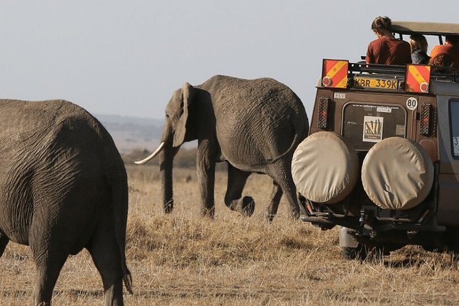 4-Day Masai Mara and Lake Naivasha 4 X 4 Land Cruiser Safari - High End - Frequently Asked Questions