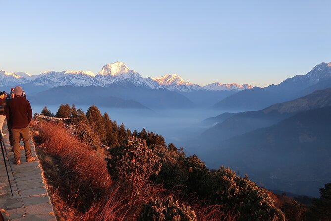 4 Day Poon Hill Trek and Pokhara Private Tour - Pricing and Discounts