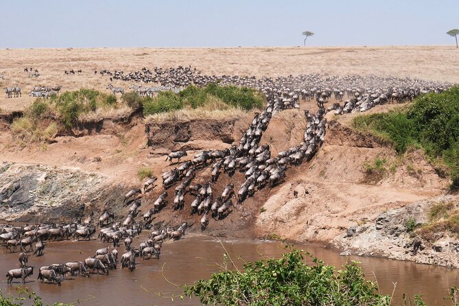 4-Day Serengeti, Ngorongoro & Tarangire Private Camping Tour - Itinerary Details