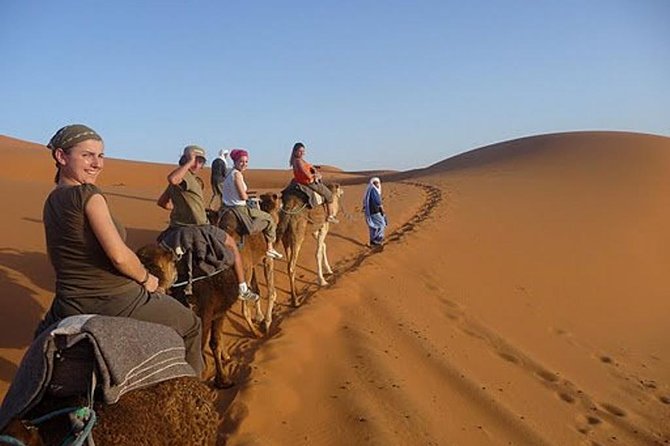4-Day Tour From Marrakech to Merzouga Desert Sahara - Tour Operator and Pricing