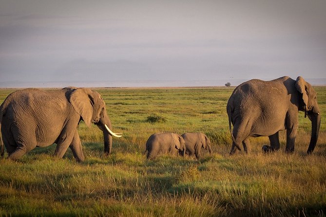 4 Days/3 Nights Adventure in Maasai Mara – Lake Nakur - Optional Excursions Information