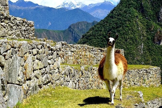 4 Days and 3 Nights Private Trekking Through the Inca Trail - The Sum Up