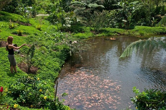 4 Days Archidona Amazon and Kiwcha Community Tour - Frequently Asked Questions