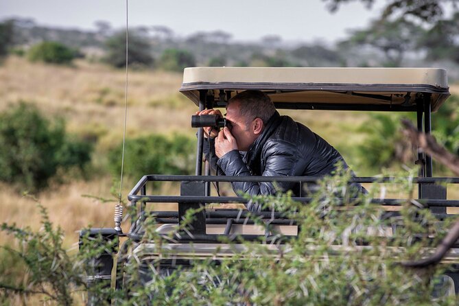 4 Days Budget Mid Range Safari Tour Tanzania - Pickup Information