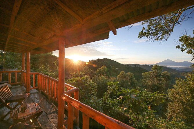 4 Days Bwindi Impenetrable National Park Wildlife Safari - Cancellation Policy and Weather Considerations