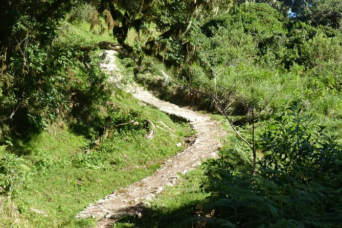 4 Days Climbing Mount Meru Via Momela Route - Additional Information