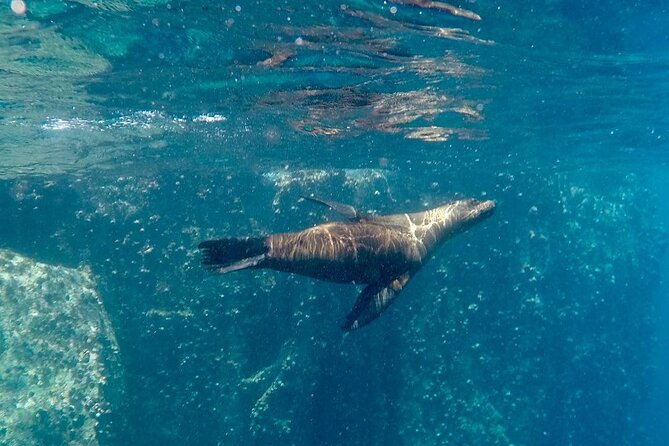 4 Days Galapagos Total Experiences - Included Activities