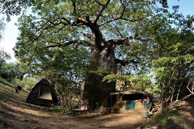4 Days Hadza Immersion - Pricing and Booking
