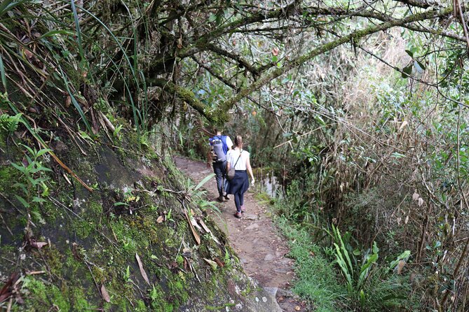 4 Days Inca Jungle Trek to Machu Picchu - Safety and Health Considerations