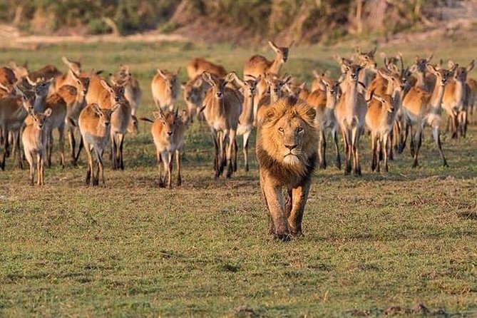 4 Days Join Group Tarangire Serengeti and Ngorongoro - Meeting Point