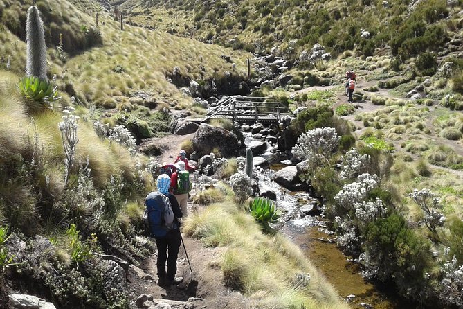 4 Days Mount Kenya Climbing- Naro Moru Route - Cancellation Policy