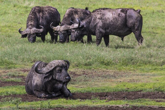 4 Days Safari With Waterfalls and Hot Spring - Booking Confirmation and Preparation