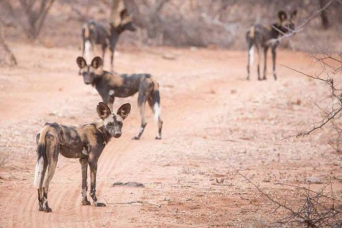 4 Days Samburu Game Reserve & Aberdare National Park-Mid Range - Weather Considerations