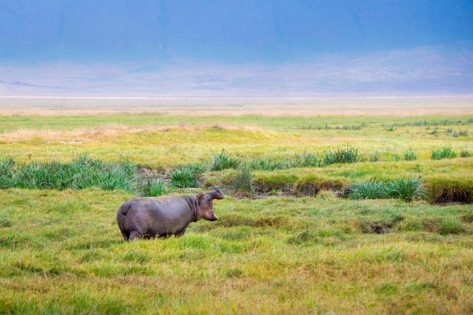 4 Days Tanzania Lodge Safaris - Booking Information