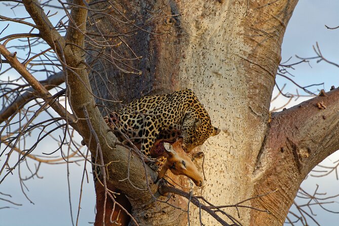 4 Days – Tarangire, Serengeti, Ngorongoro Crater - Frequently Asked Questions