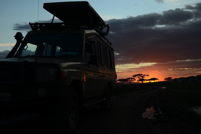 4 Days Tarangire ,Serengeti &Ngorongoro Crater Group Tour - Health Considerations