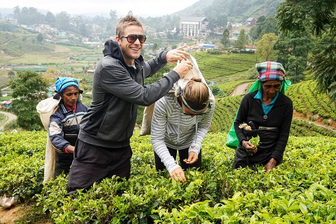 4 Days Tour To Kandy, Nuwara Eliya, Dambulla & Polonnaruwa - Frequently Asked Questions
