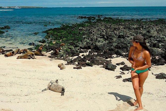 4 Days - Wild San Cristobal - Transportation Information