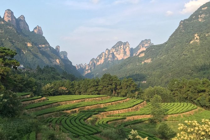 4 Days Zhangjiajie Avatar Panorama Tour & Activities (Classical Boutique Hotel) - Booking Information and Policies