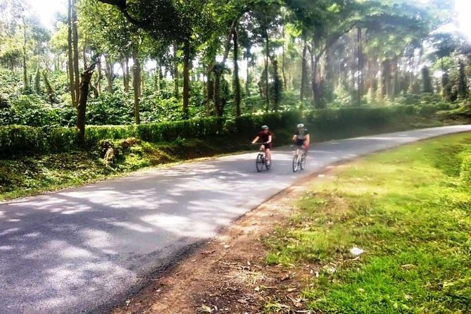 4-Hour Tour: Pune University Complex Cycling Private Tour - Transportation and Meeting Point Info