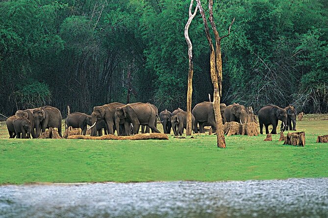 4 Nights 5 Days Kerala Tour Package - Booking Information