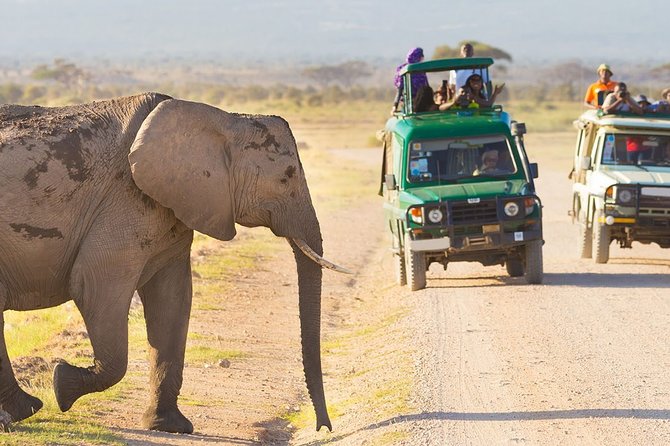5-Day Amboseli, Tsavo West & Tsavo East Safari - Pricing and Refund Policy