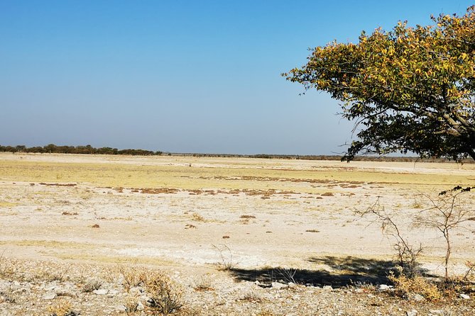 5 Day Etosha National Park Private Guided Safari Tour - Tour Exclusions