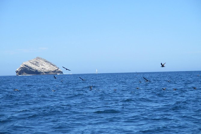 5-Day Galapagos Hotel-based Tour in San Cristobal Island - Pricing and Payment