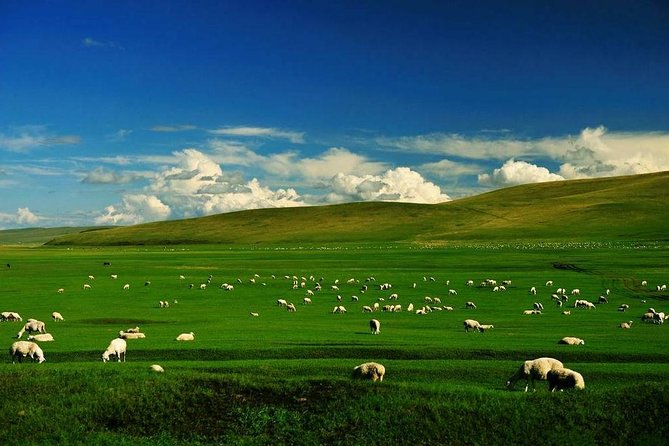 5-Day Hulunbuir Private Tour Combo Package of Grassland and Wetland With Hotel - Pricing and Lowest Price Guarantee