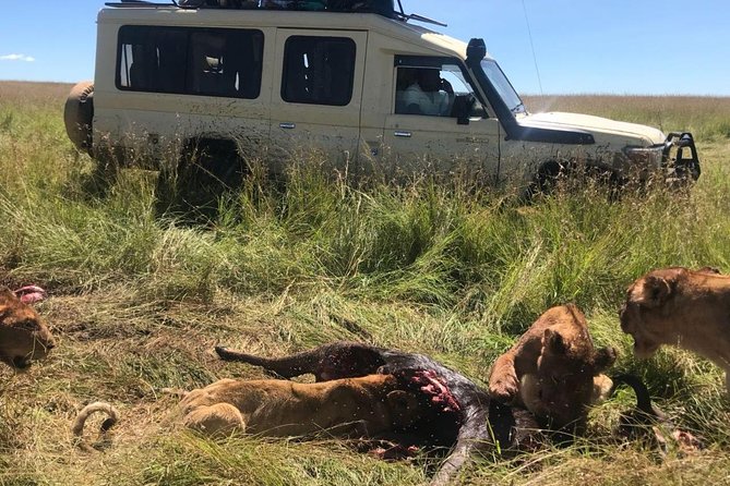 5-Day Manyara, Serengeti and Ngorongoro Camping Safari From Arusha - Important Cancellation Policy