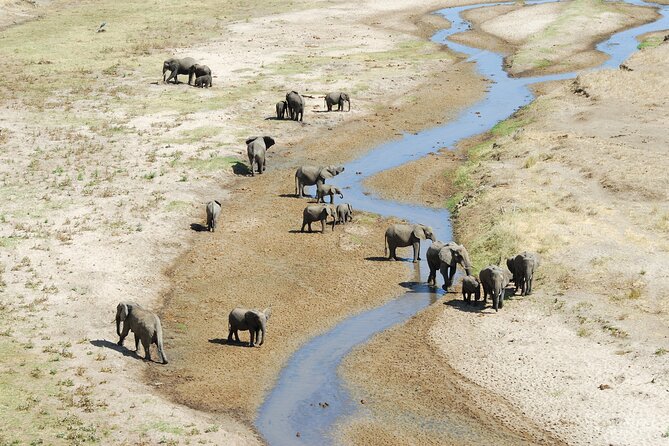 5-Day Private Camping Tour to Serengeti, Ngorongoro & Tarangire - Frequently Asked Questions