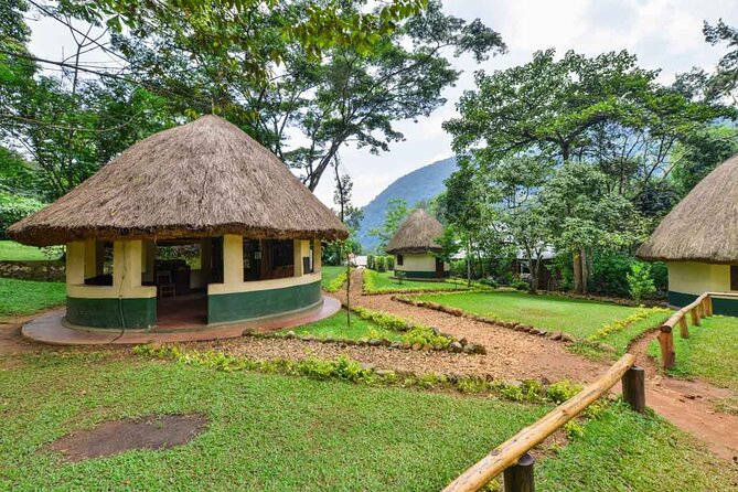 5-Day Private Tour of Kibale and Bwindi Impenetrable National Park - Day 5 Itinerary