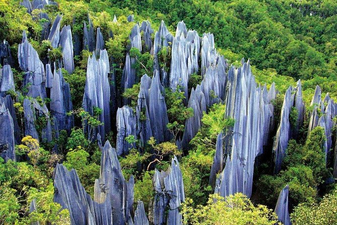 5-Day Private Yunnan Discovery From Shanghai: Kunming, Dali, Shaxi and Lijiang - Tour Highlights