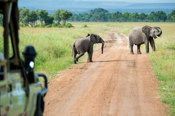 5-Day Safari Tour With Kilimanjaro Day Hiking in Tanzania - Day 4: Kilimanjaro Day Hike