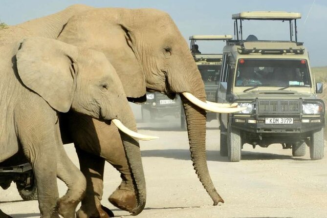5 Days Aberdares Lake Nakuru & Masai Mara Wildlife Safari - Accommodation Details
