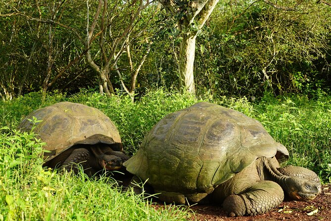 5 Days Adventure in Galapagos Two Islands - Additional Fees and Services